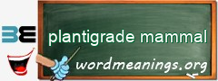 WordMeaning blackboard for plantigrade mammal